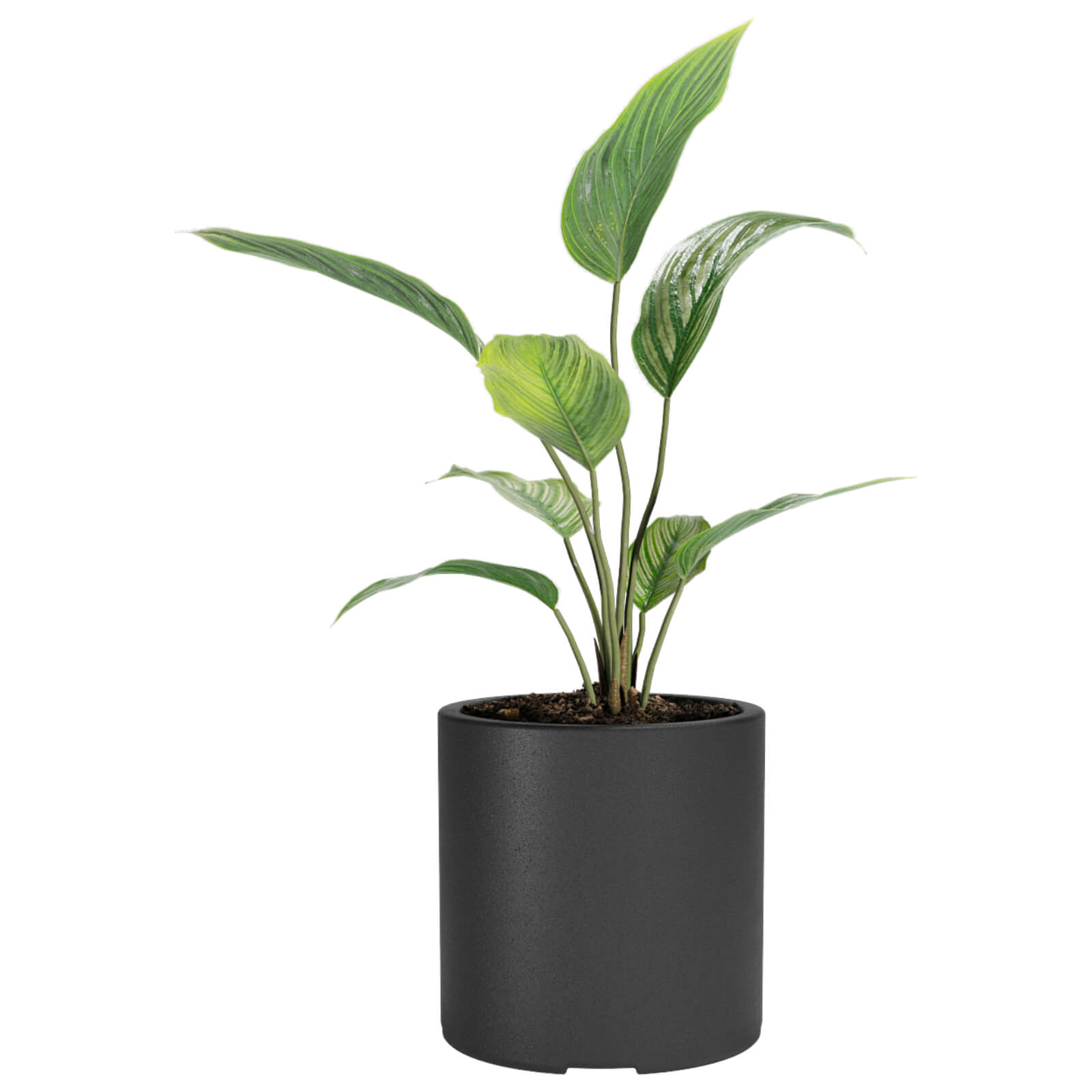 MACETA DE PLASTICO AMALFI CILINDRO 30 NEGRO 0