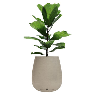 Maceta Sara N40 De 31 Litros con Plato