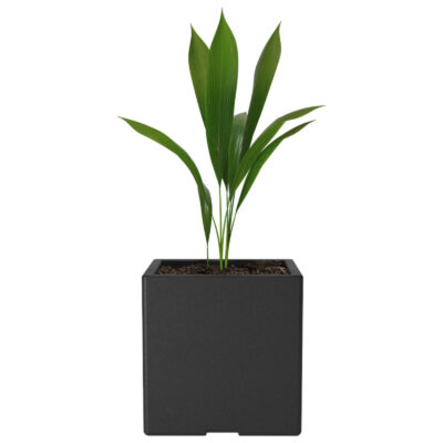 Maceta Cubo N30 De 25 Litros
