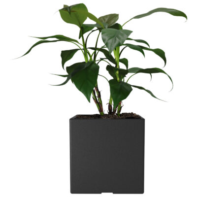 Maceta Cubo N40 De 59 Litros