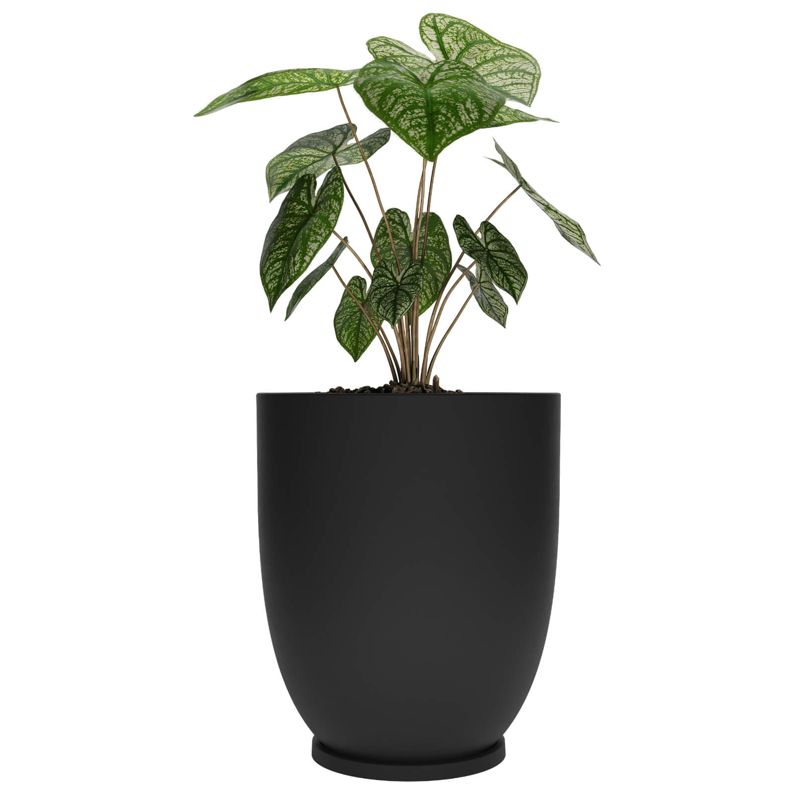 Maceta de plastico Copa 70 con plato color negro 0