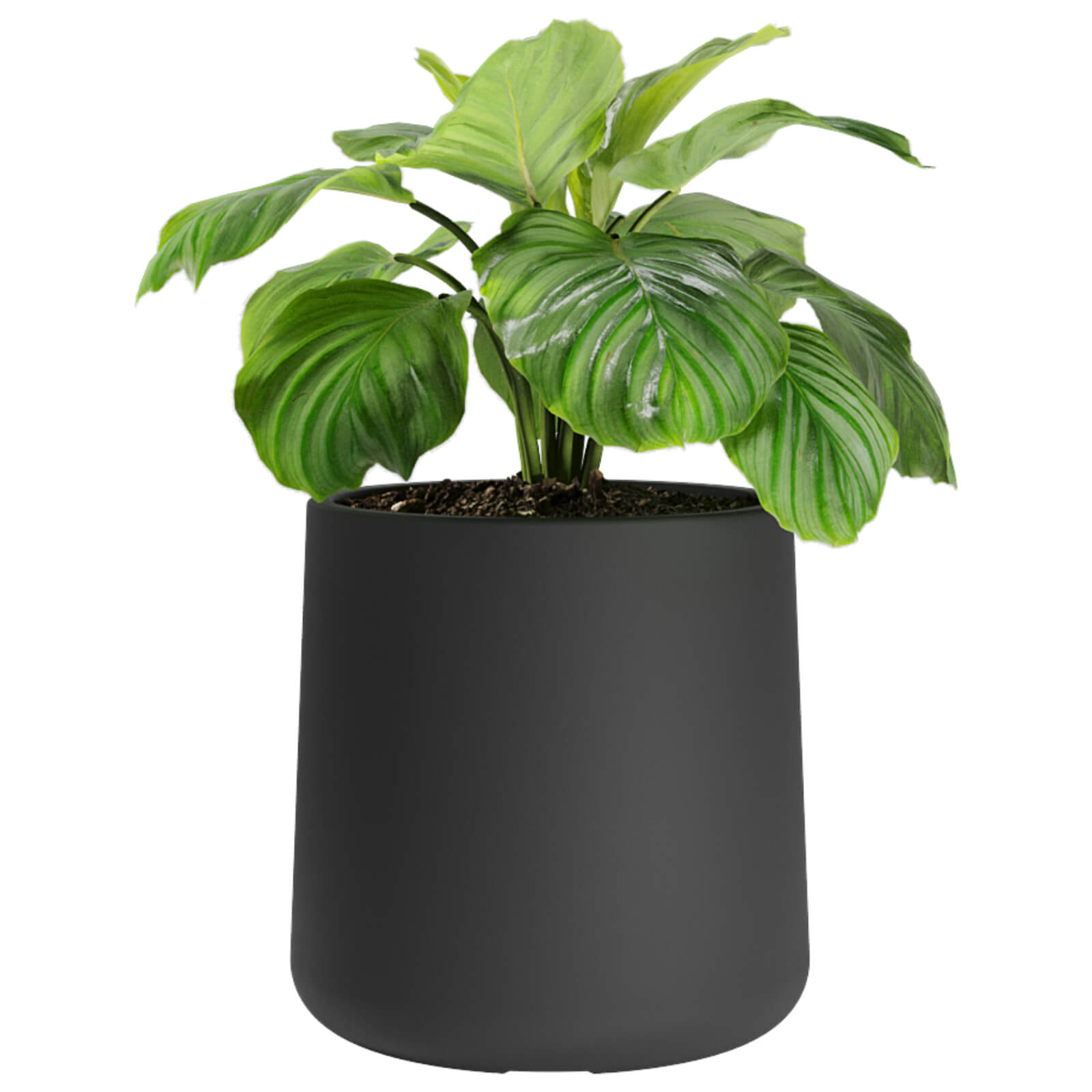 Maceta macetero de plastico Gota 40 color negro 0