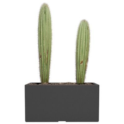 Maceta Jardinera N60 De 49 Litros