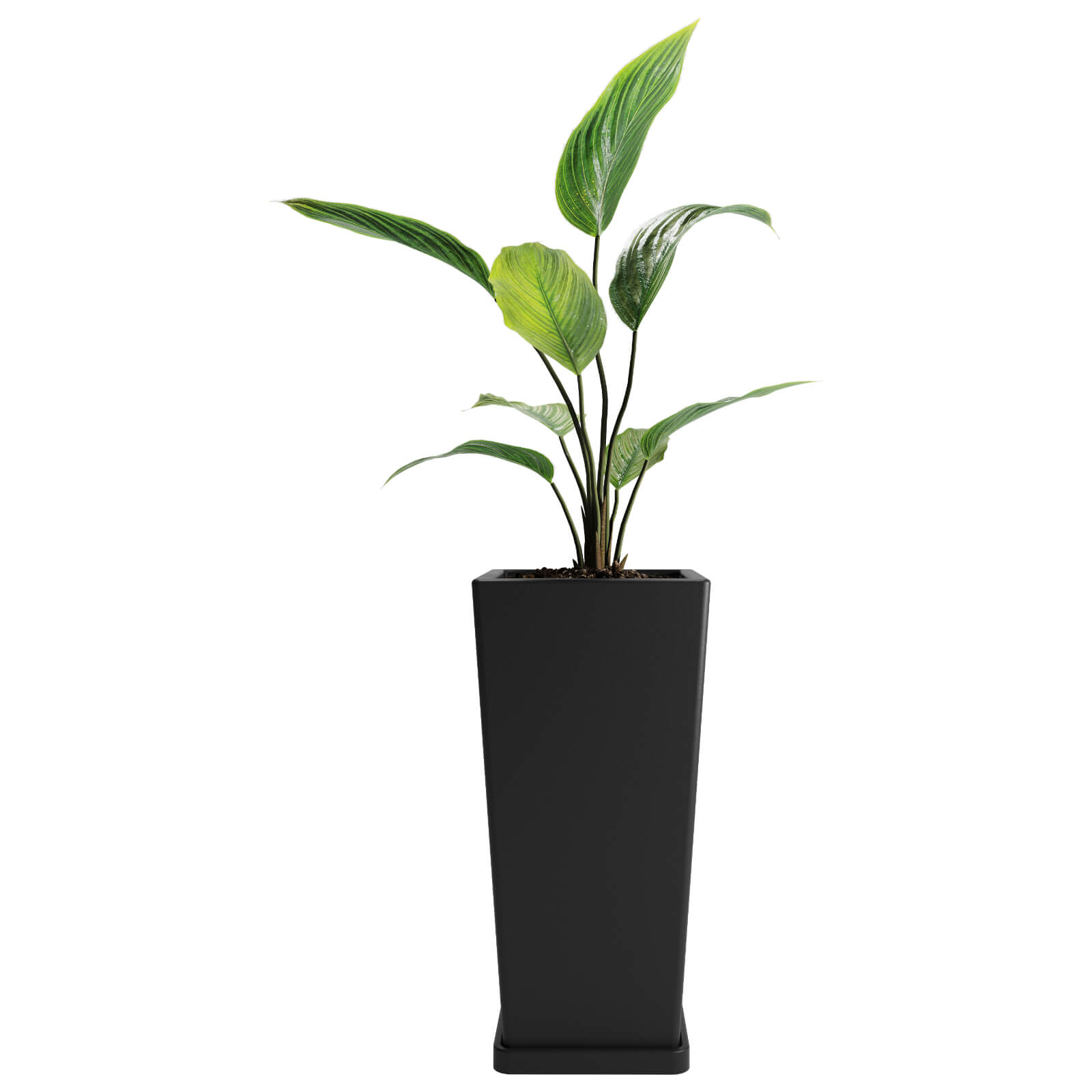 Maceta macetero de plastico Piramidal 55 color negro 0