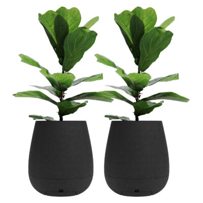 Set x2 Maceta Sara N40 De 31 Litros con Plato