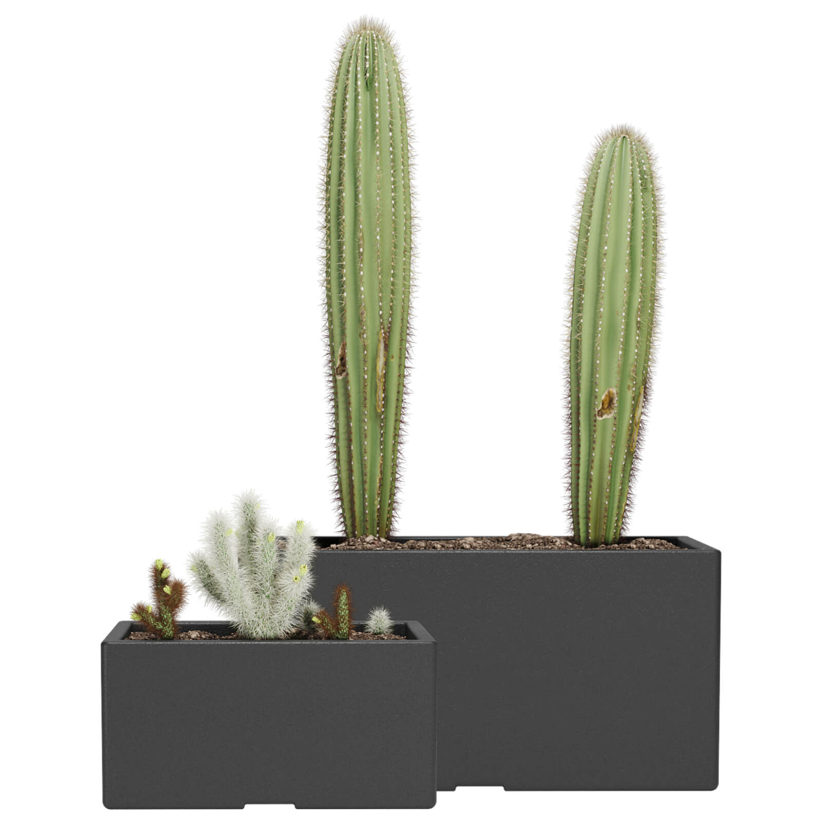 Set maceta macetero de plastico Jardinera color negro 0